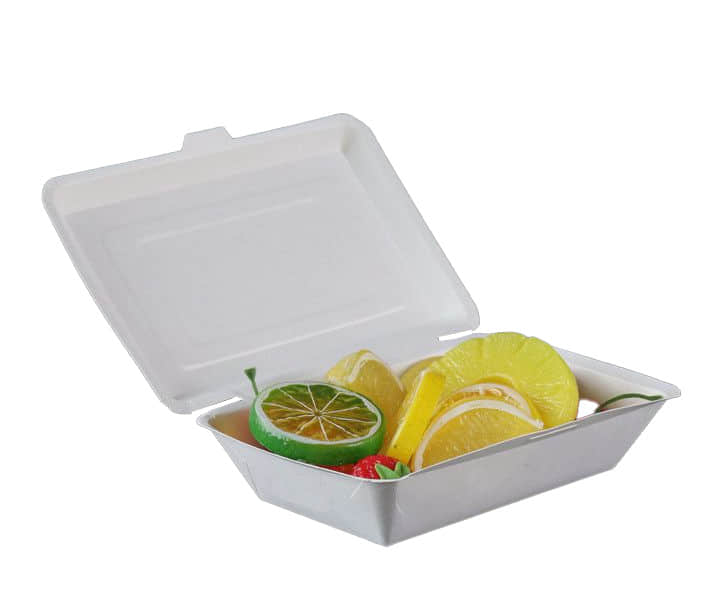 Top 5 Paper Take Away Food Box Making Machines for Disposable Container & Tray Production