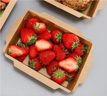 Top 5 Paper Take Away Food Box Making Machines for Disposable Container & Tray Production