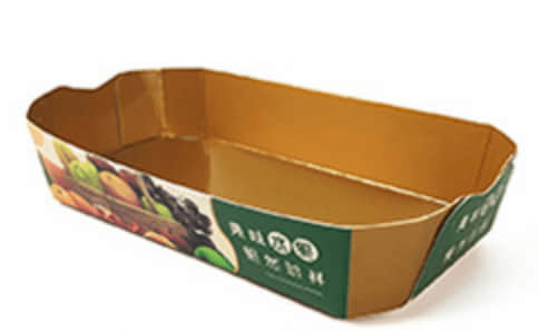 Top 5 Paper Take Away Food Box Making Machines for Disposable Container & Tray Production
