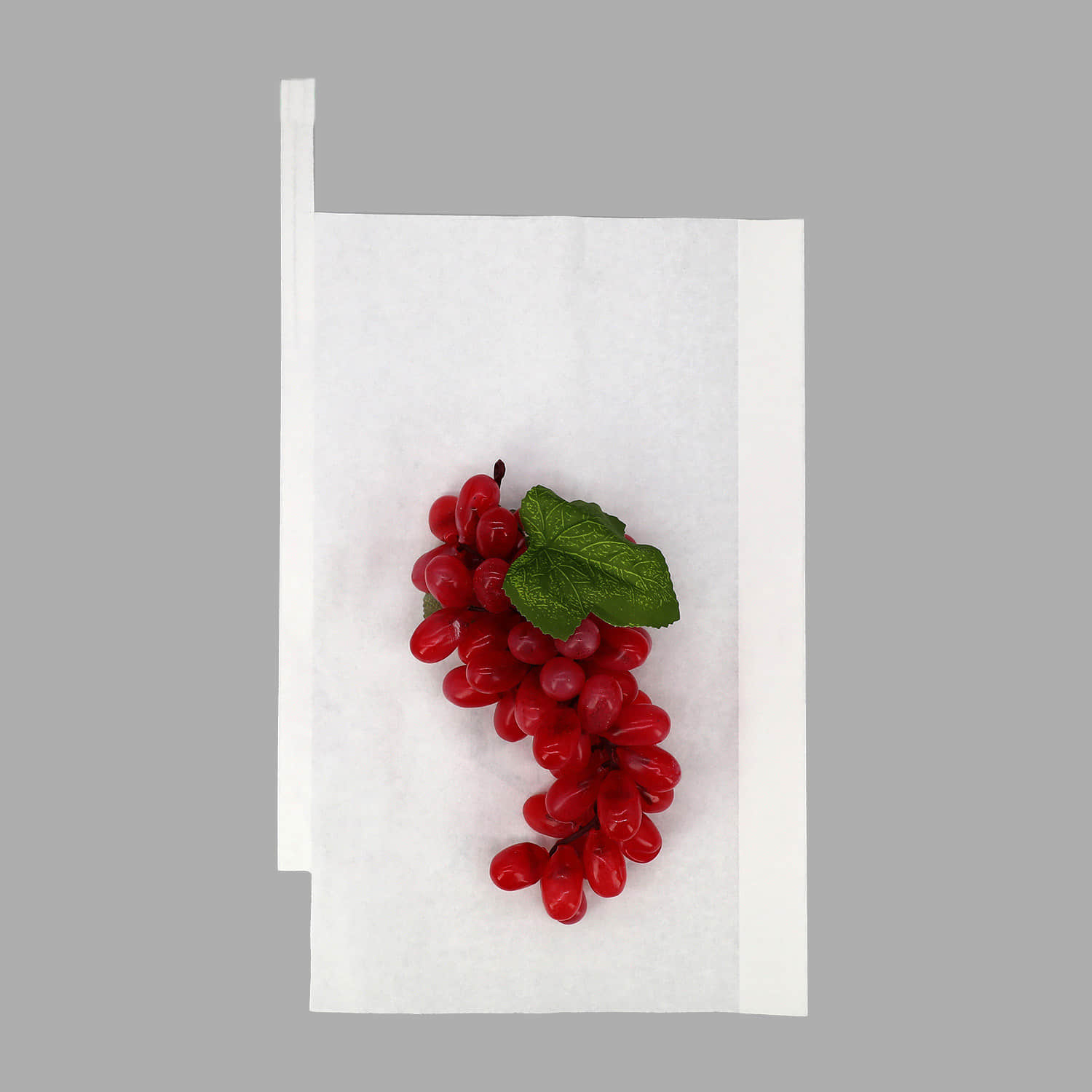 Grapes Bagging Machine Guide: How to Choose the Right Color Bags & Benefits of Bagging