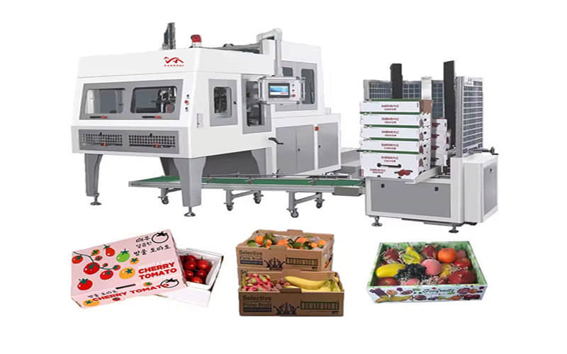 Automatic Paper Fruit Box Making Machine for Fruit and Vegetable Carton Folding and Forming