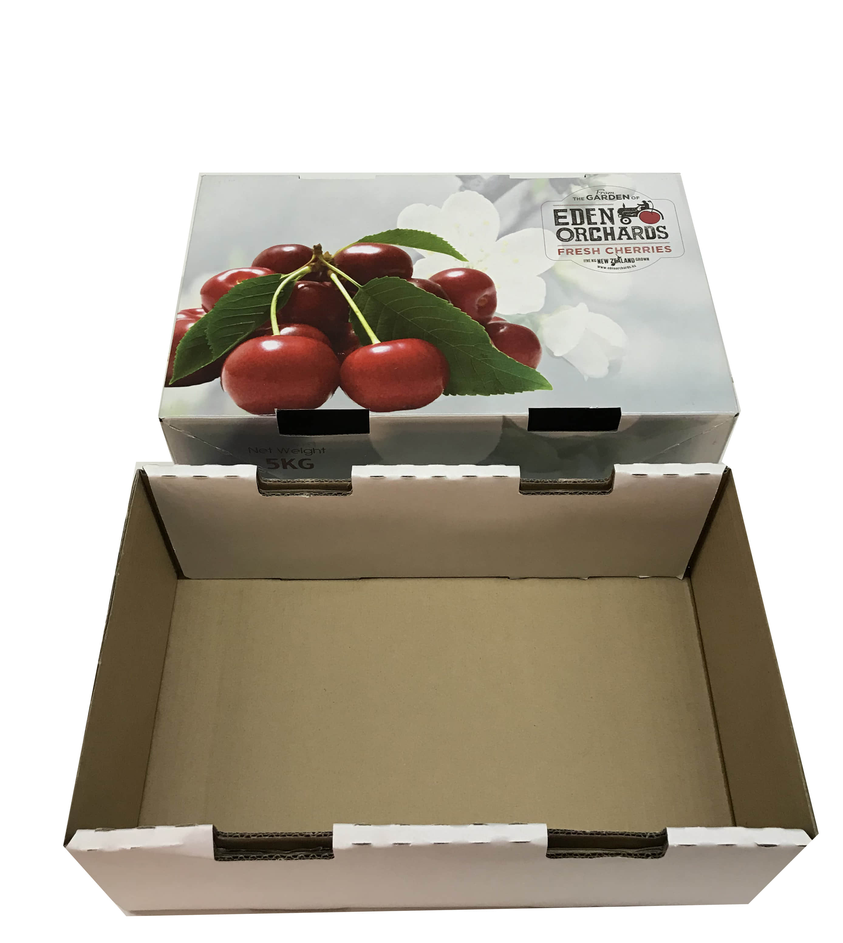 Automatic Paper Fruit Box Making Machine for Fruit and Vegetable Carton Folding and Forming