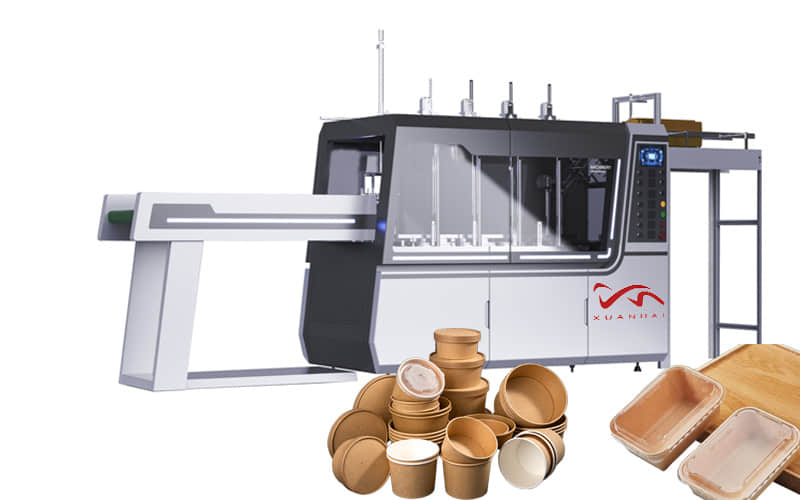 Automatic Square Curling Paper Lunch Box Forming Machine For Food Packing Bowl Tray