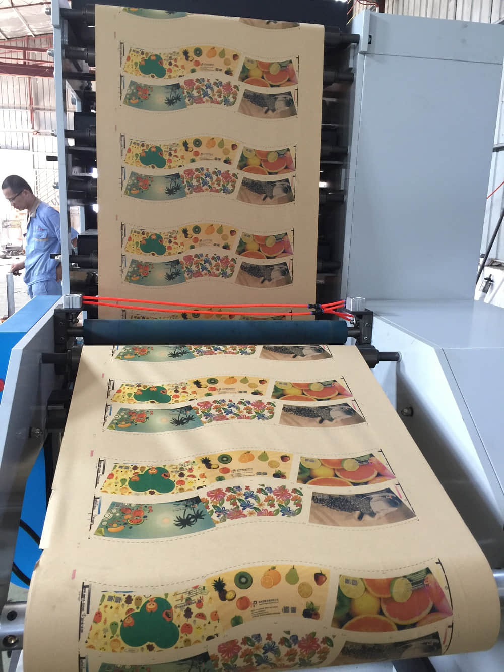 RY850 6 Color Flexo Printing Machine 850mm Width Paper Film Label Roll to Roll Print